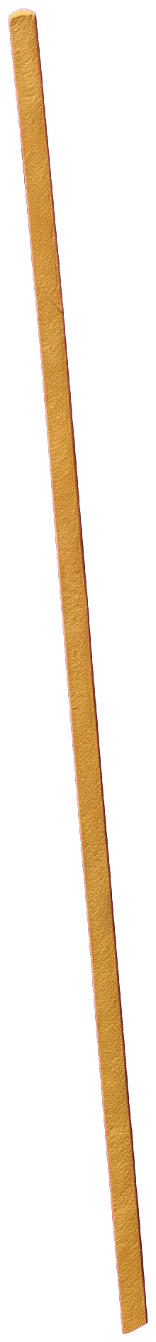A long golden wooden staff held upright in the Hermit's left hand, running down beside his grey mantle